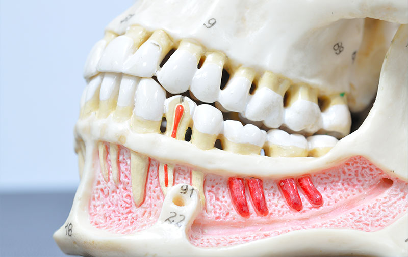 安心安全のための設備