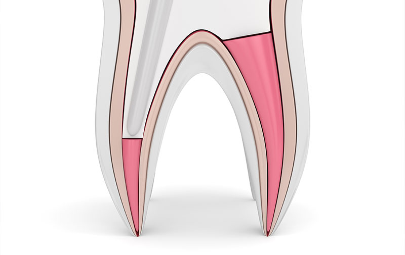 安心安全のための設備