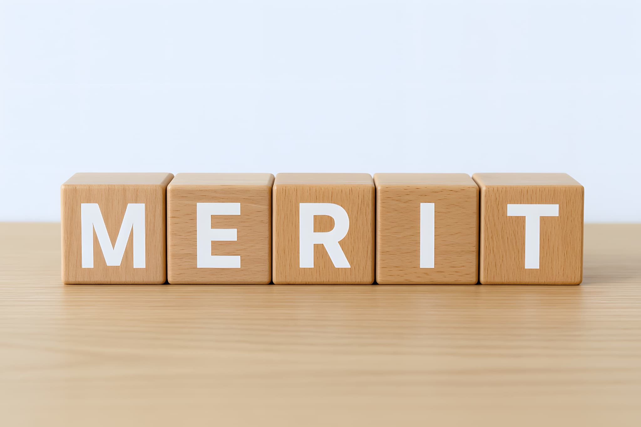 「MERIT」と書かれたブロックの画像